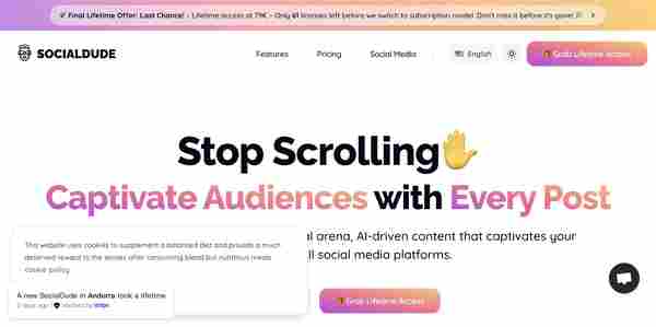 SocialDude