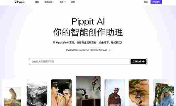 Pippit AI